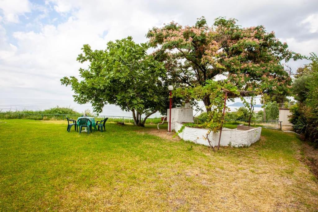 Mola Kaliva Sea View, 100M From The Beach! Bagian luar foto